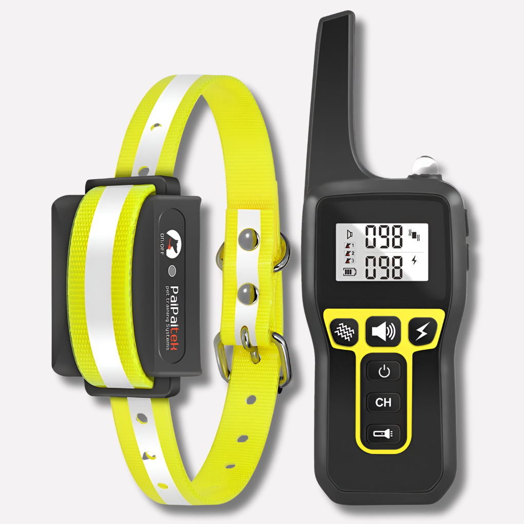 1000 m waterproof dog collar, rechargeable, with remote control
