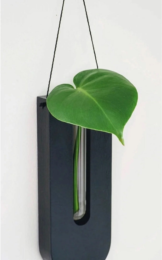 Set di portavasi da parete in legno per piante da interno, dal design minimalista e naturale