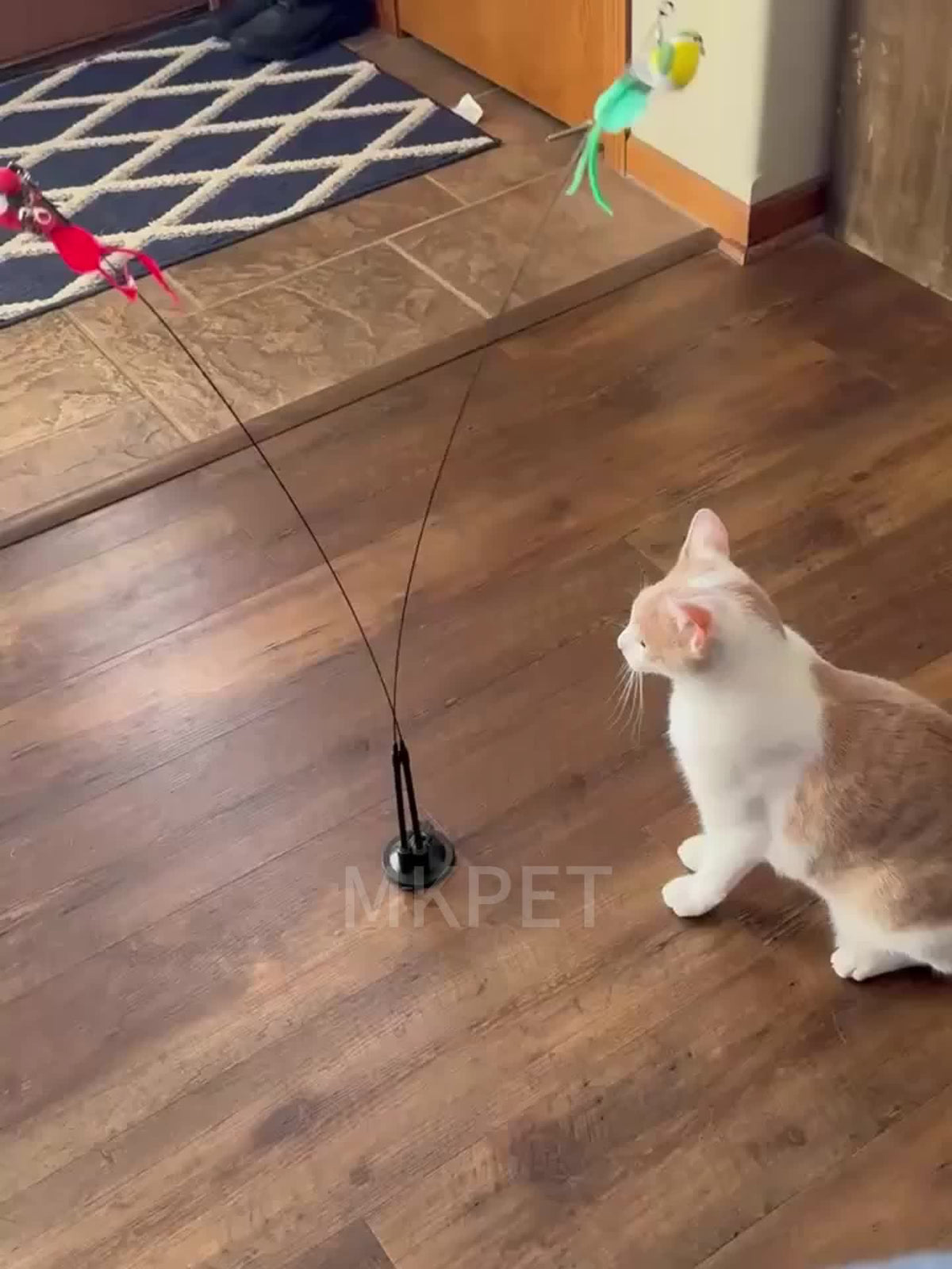 Giocattolo interattivo per gatti con ventosa – divertimento assicurato per il tuo gatto