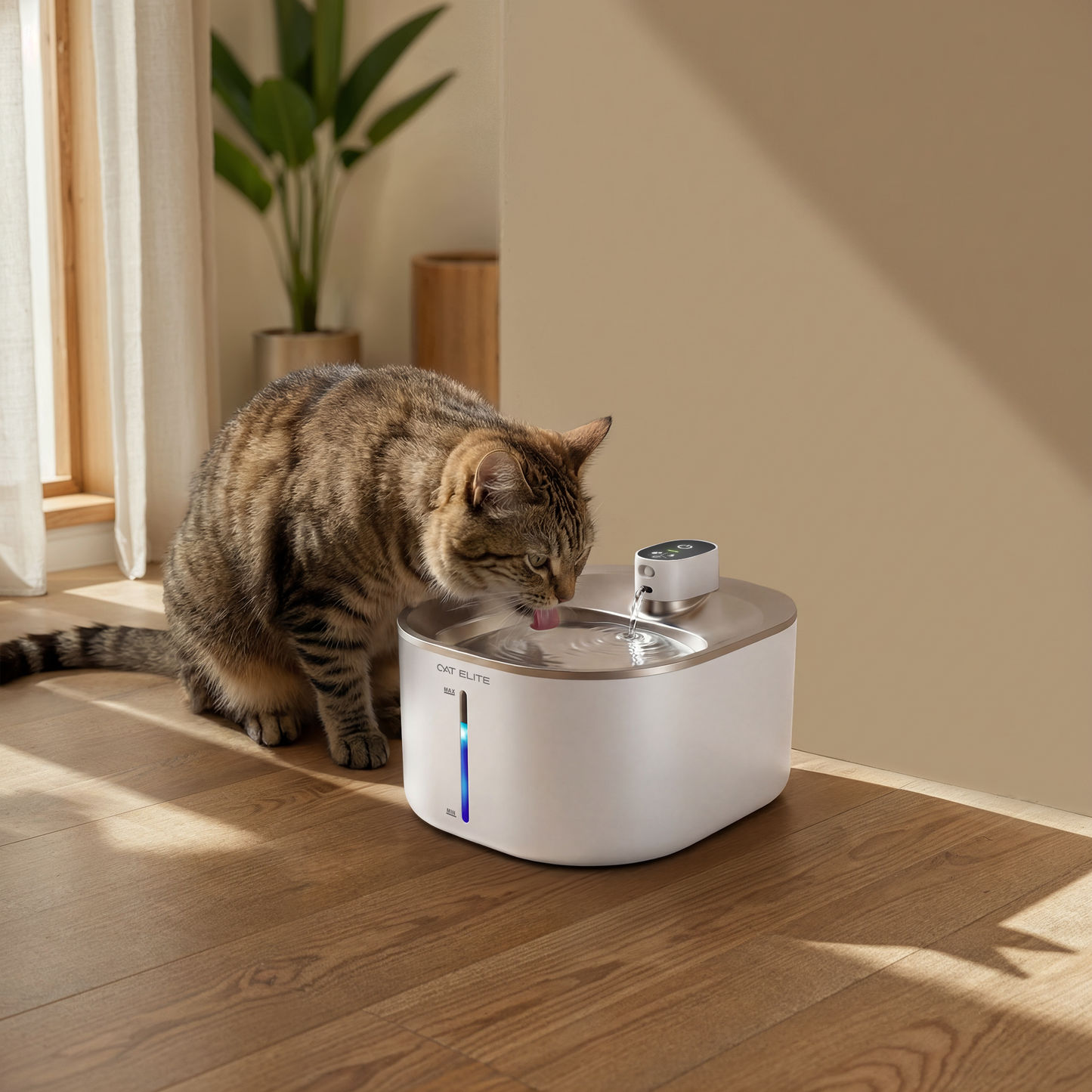 Automatic Drinking Fountain for Pets