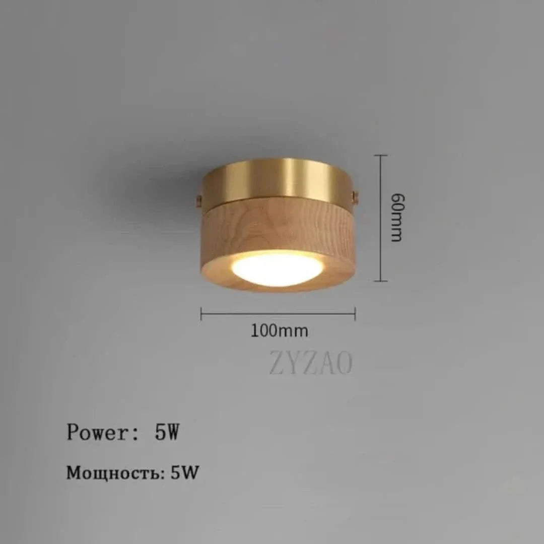 WoodenGlow - Ořechové stropní svítidlo s LED bodovým světlem