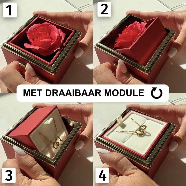 Gift Set with Real Rose & Double Heart Necklace