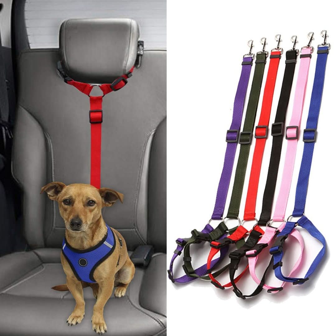 PetSafe - Cinto de segurança para o seu amigo de quatro patas!