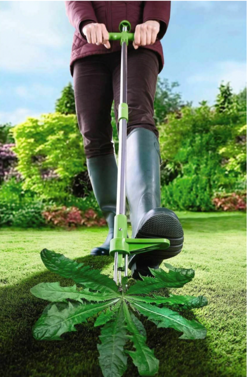 Weed Remover - Grass Root Remover for the Garden