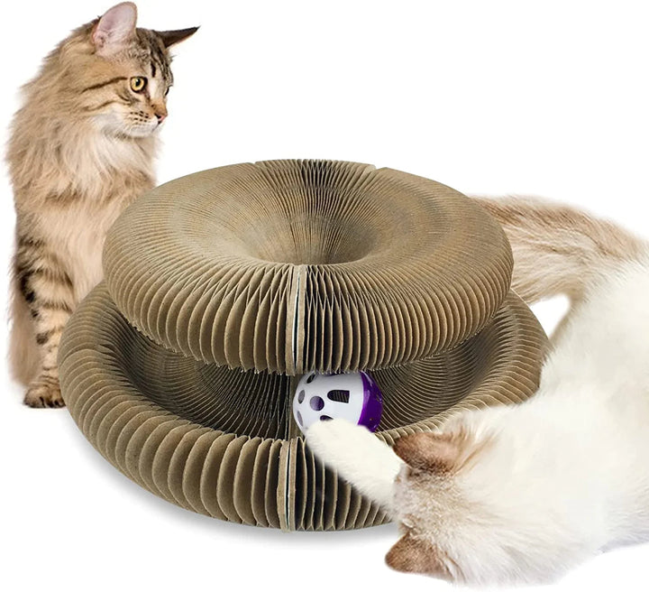 Play & Scratch with Magical Organ Scratching Board