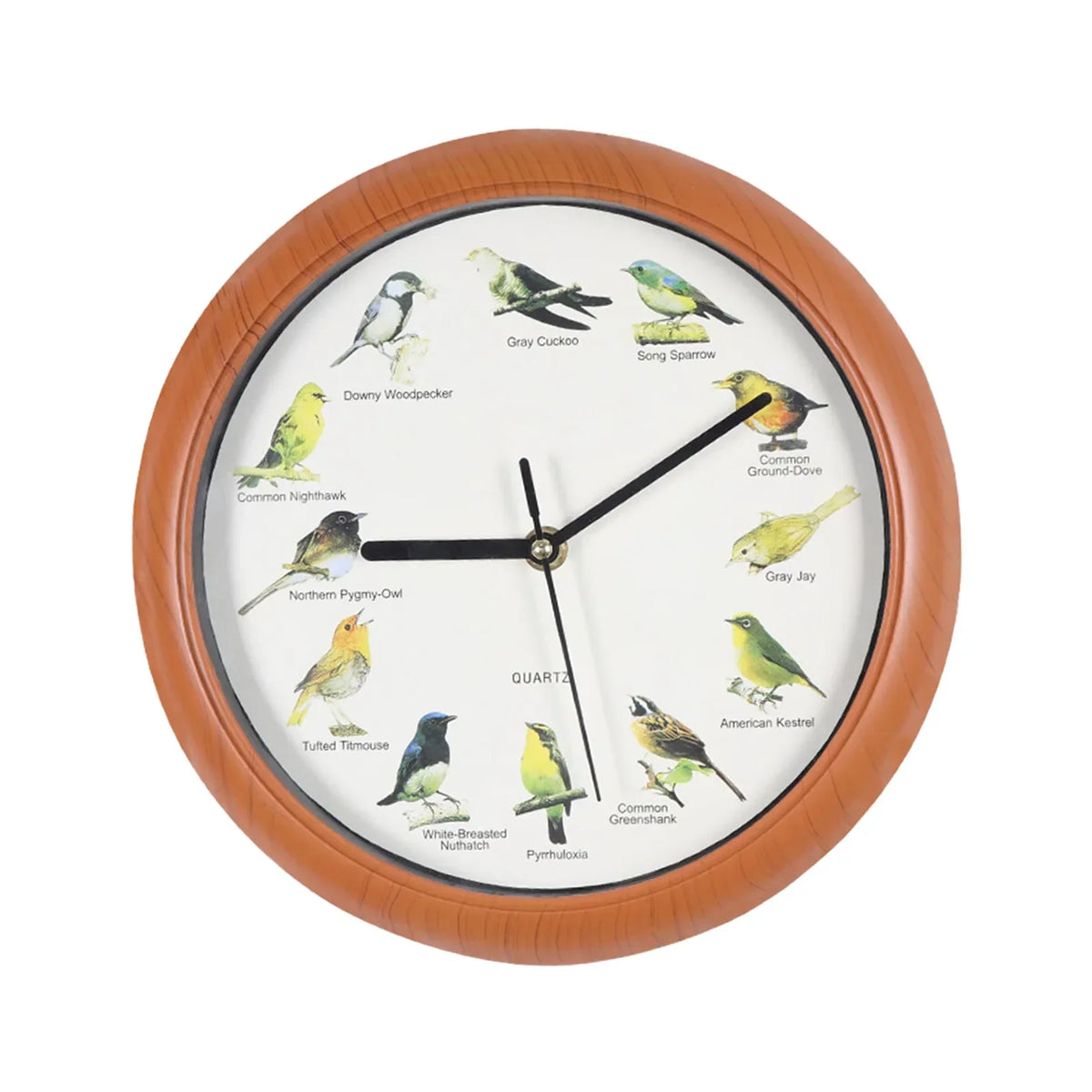 Wall Clock - Decorative Timepiece with Bird Sounds - Unique Atmosphere