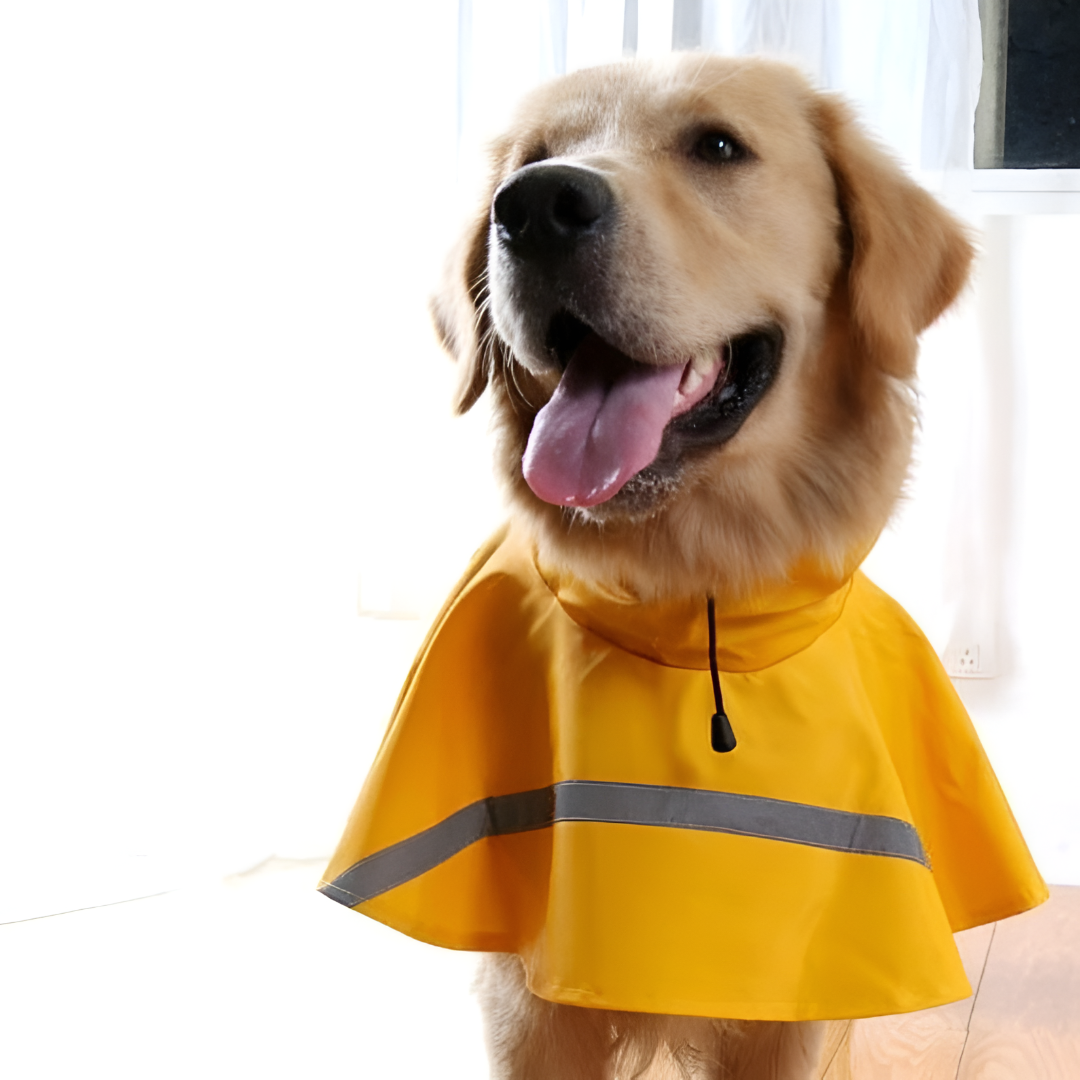 Dog Raincoat with Reflective Strip and Waterproof Design