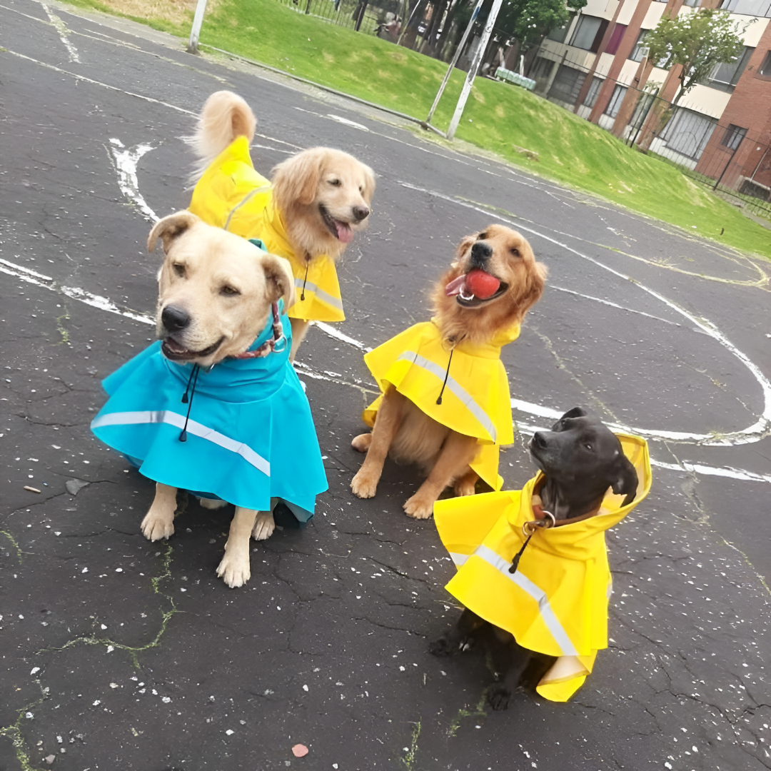 Dog Raincoat with Reflective Strip and Waterproof Design