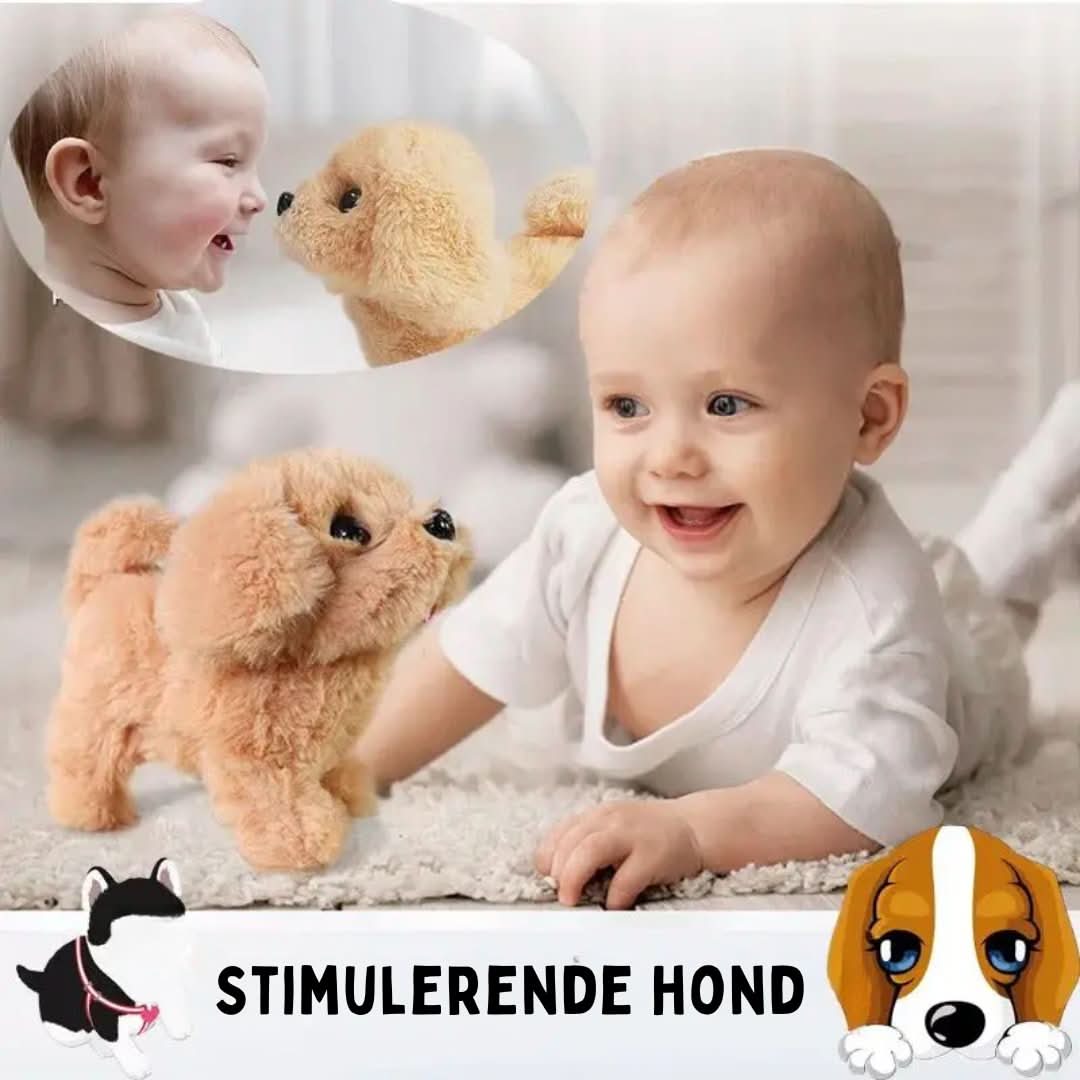 BarkyBuddy | Tökéletes társ