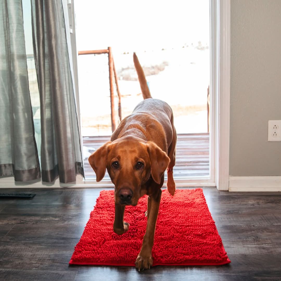 Clean-Mat | Dog Door Mat