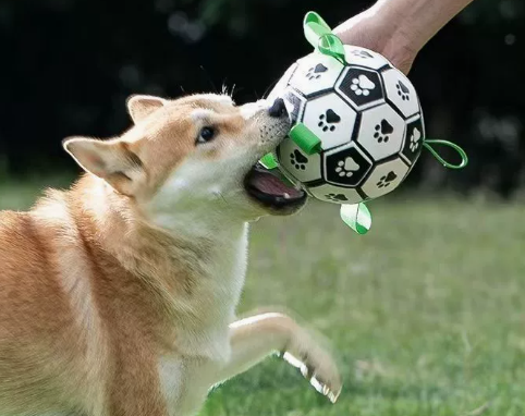 Hundespielball aus Gummi mit Griffen für drinnen und draußen