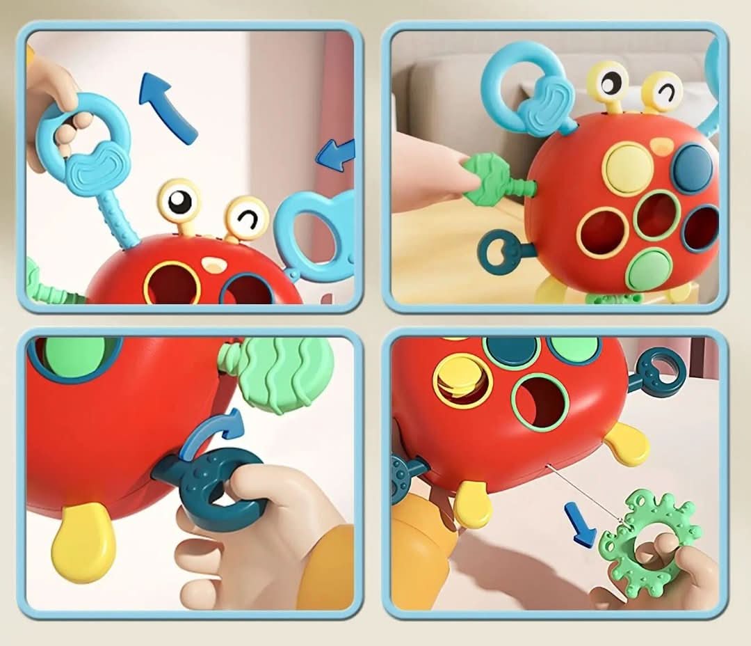 Sensory Crab | Sensory Toy