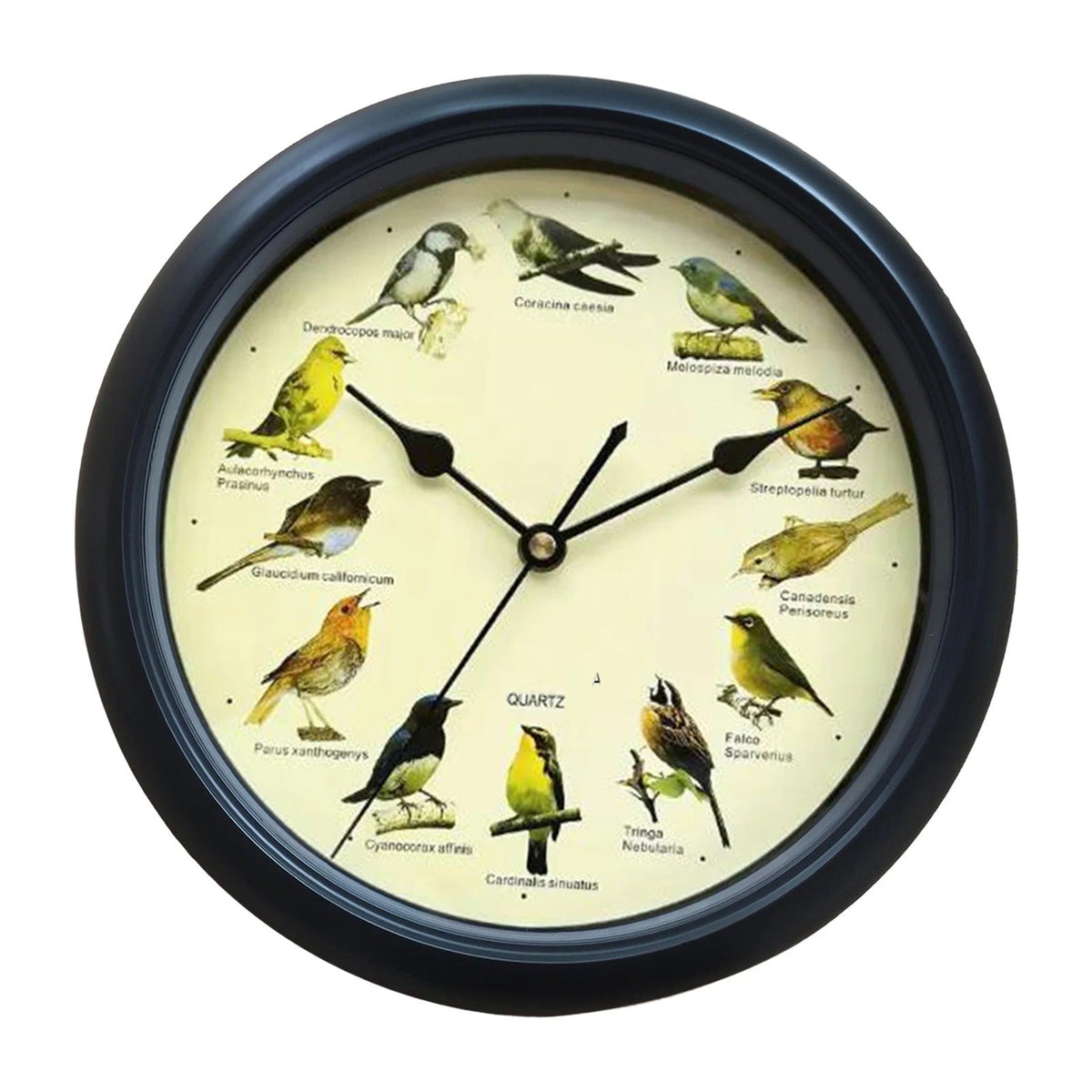 Wall Clock - Decorative Timepiece with Bird Sounds - Unique Atmosphere