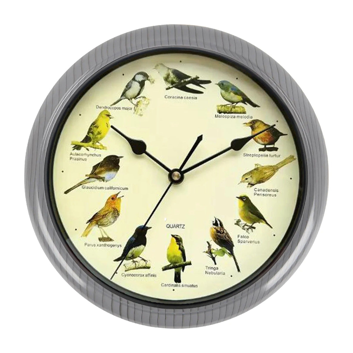Wanduhr - Dekorativer Zeitmesser mit Vogelstimmen - Einzigartige Atmosphäre