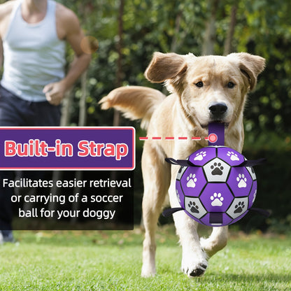 Hundespielball aus Gummi mit Griffen für drinnen und draußen