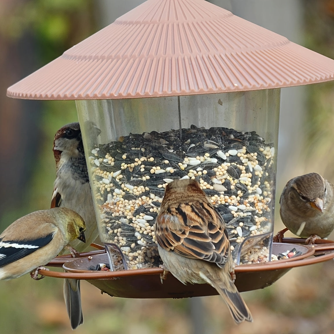 Mushroom-Shaped Bird Feeder Station – Handy and Decorative for Gardens and Outdoor Spaces