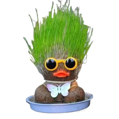 Plante figurative - Creează plante vii