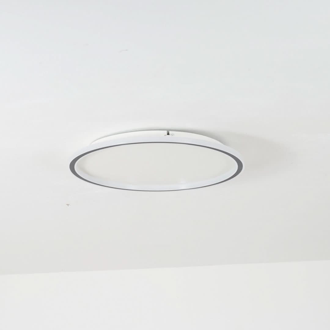 Quinn Modern Round LED Ceiling Light Metal/Acrylic