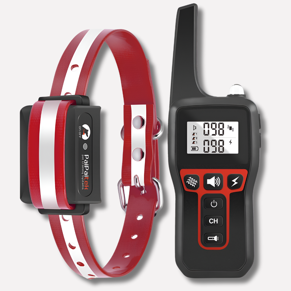 1000 m waterproof dog collar, rechargeable, with remote control