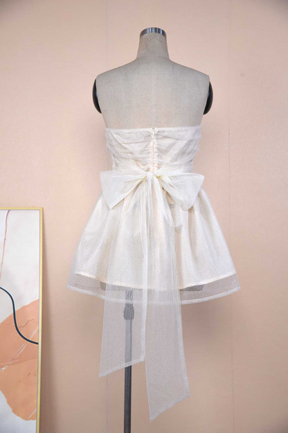 Tube Top Lace Dress with Bow on the Back
