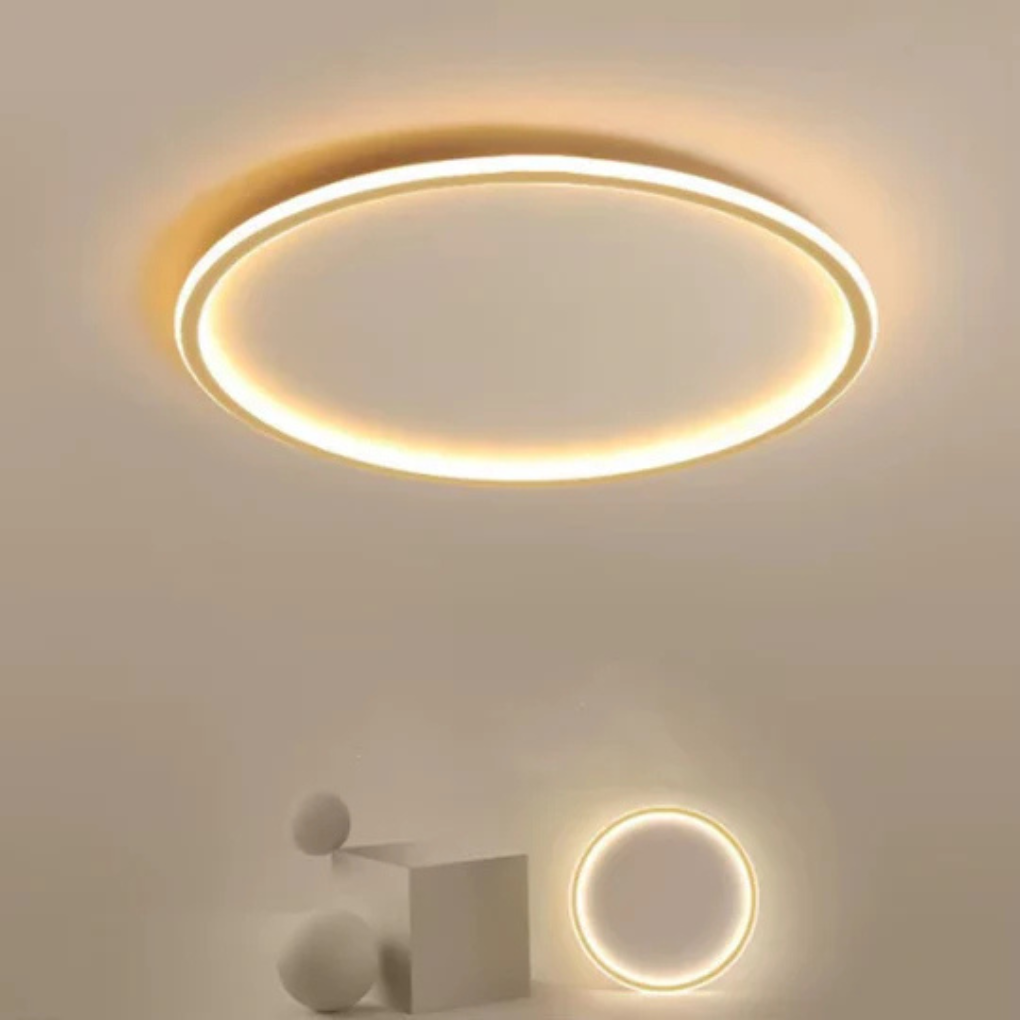 Round LED Ceiling Light