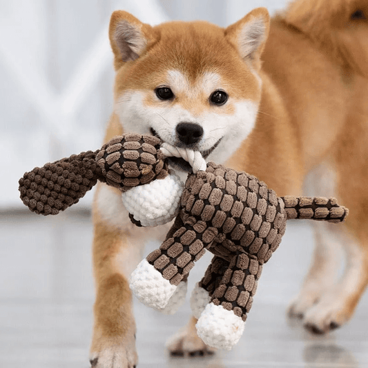 Juguete de peluche sostenible para perros Abrazo Canino