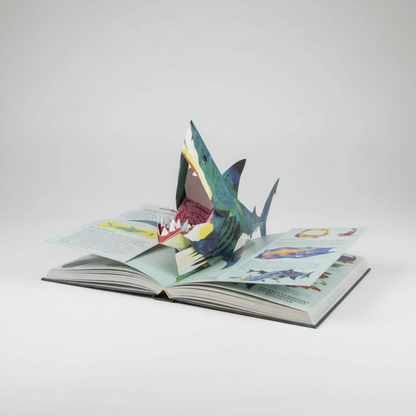 Libro pop-up 3D sui dinosauri con pagine interattive per l’educazione dei bambini