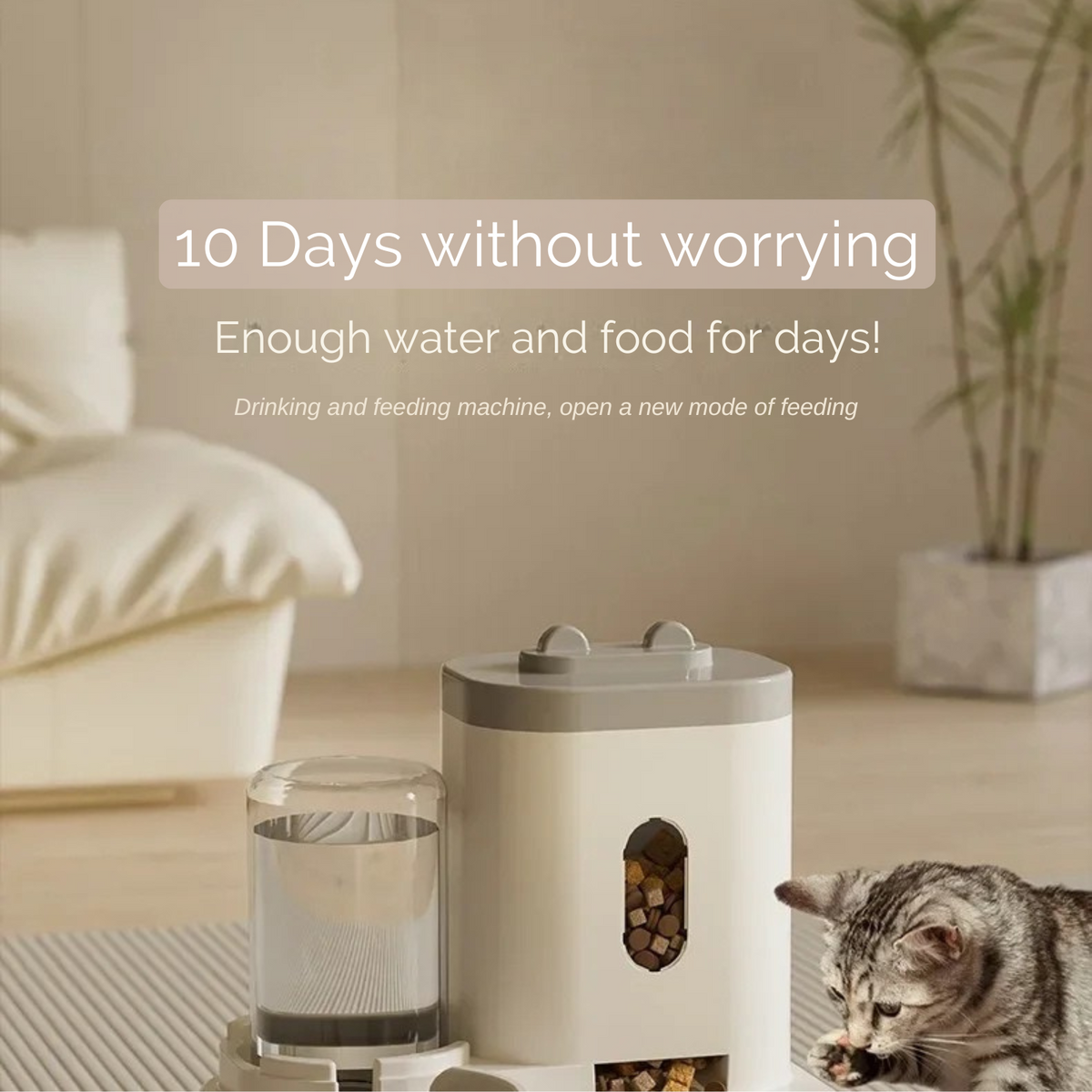 PetEase Automatic Feeder – Smart Solution for Food and Water