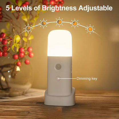 LED Night Light with Motion Sensor – USB Rechargeable and Adjustable Brightness for Bedrooms and Hallways