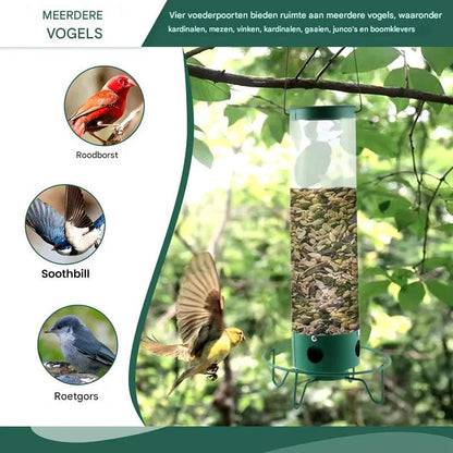 Squirrel-Proof Bird Feeder – For Worry-Free Bird Feeding