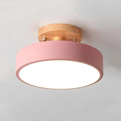 Quinn Modern LED Ceiling Light