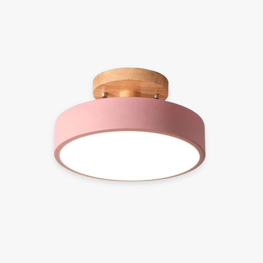 Quinn Modern LED Ceiling Light