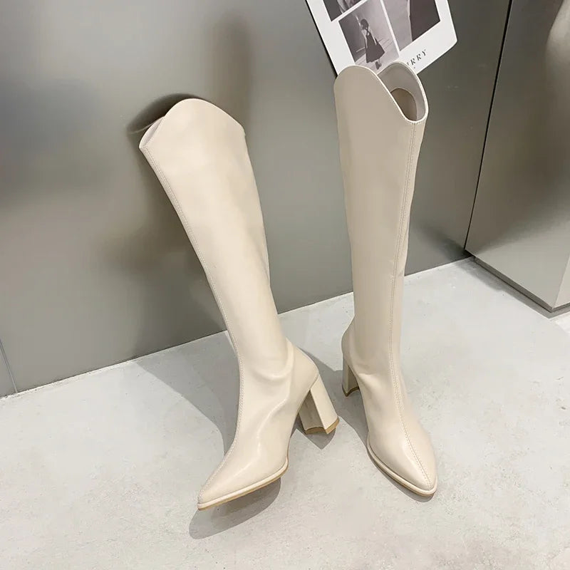 Stivali da equitazione eleganti al ginocchio da donna