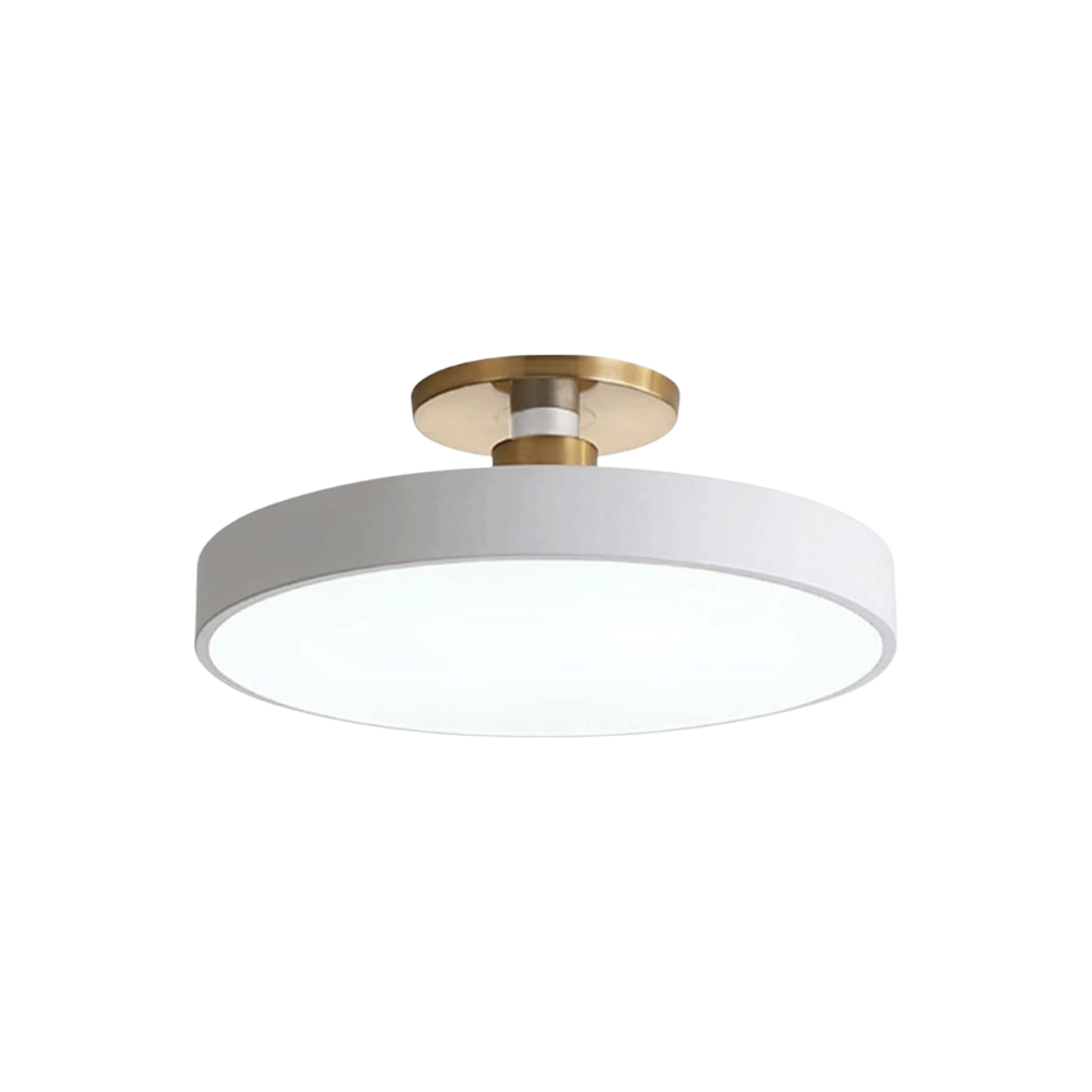 Elegante vibrierende Deckenleuchte mit Farboptionen