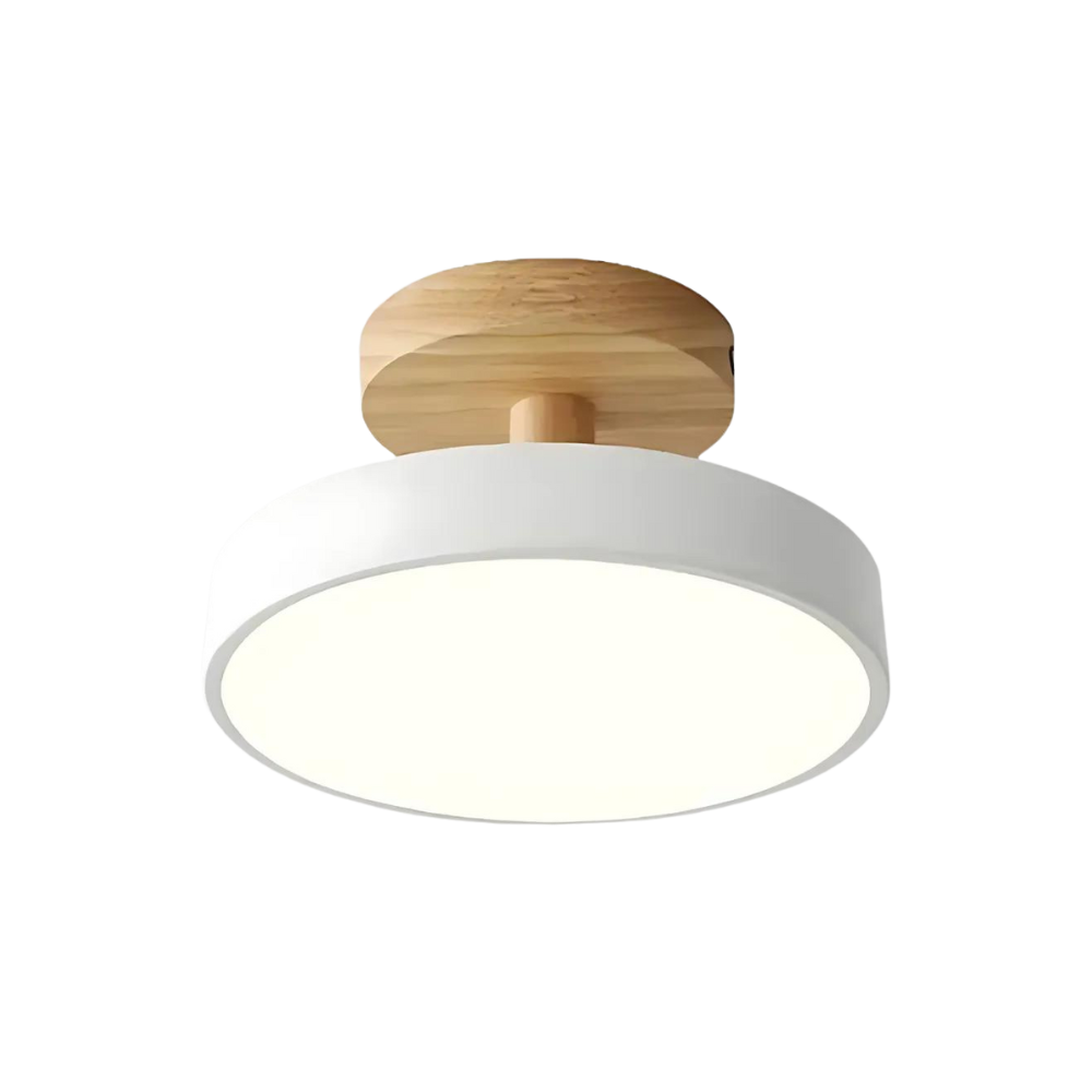 Modern Floor Lamp with LED and Colour Options
