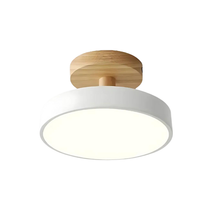 Modern Floor Lamp with LED and Colour Options