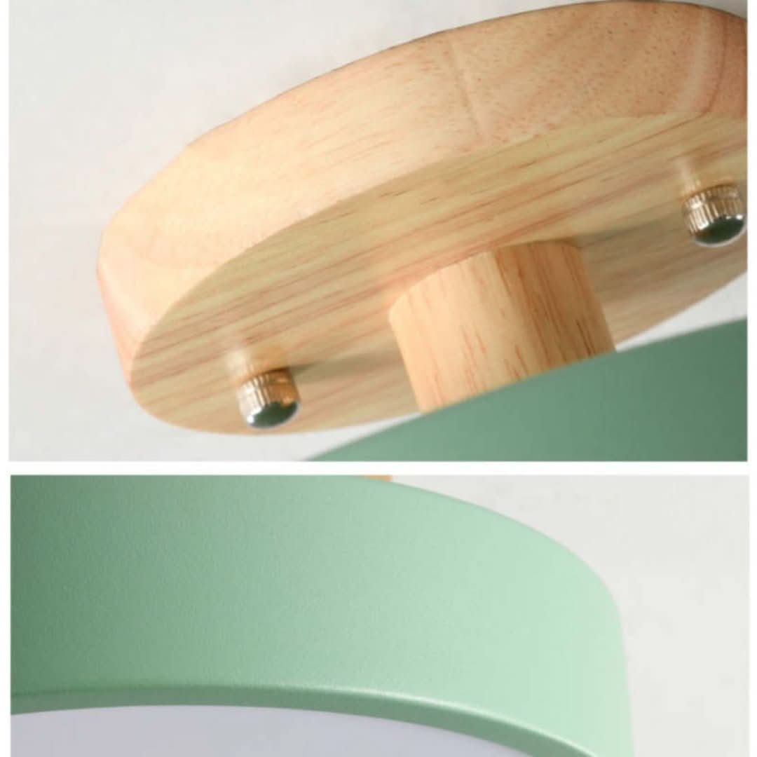 Quinn Modern LED Ceiling Light