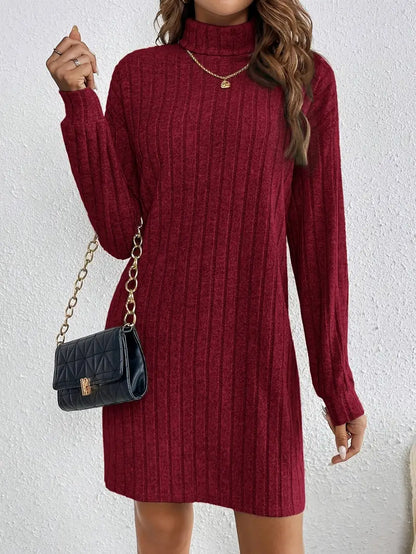 Trendy Ribbed Mini Sweater Dress for Women with Roll Neck and Long Sleeves