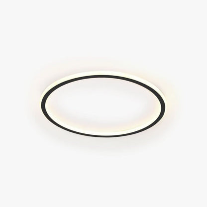 Quinn Modern Round LED Ceiling Light Metal/Acrylic