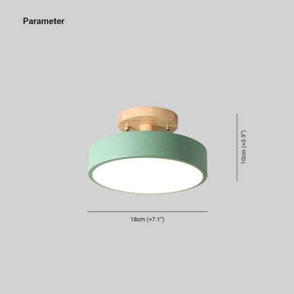 Quinn Modern LED Ceiling Light