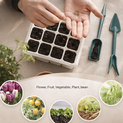 Indoor Growing Kit | LED Grow Light, Dome | Plants
