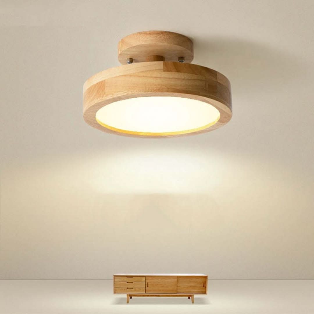 Quinn Modern LED Ceiling Light