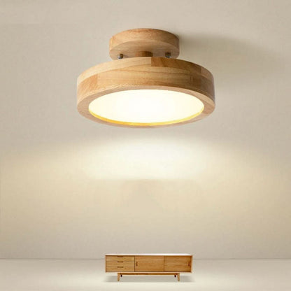 Quinn Modern LED Ceiling Light
