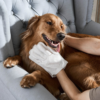Salviette per guanti per animali domestici – Pulizia rapida senza acqua