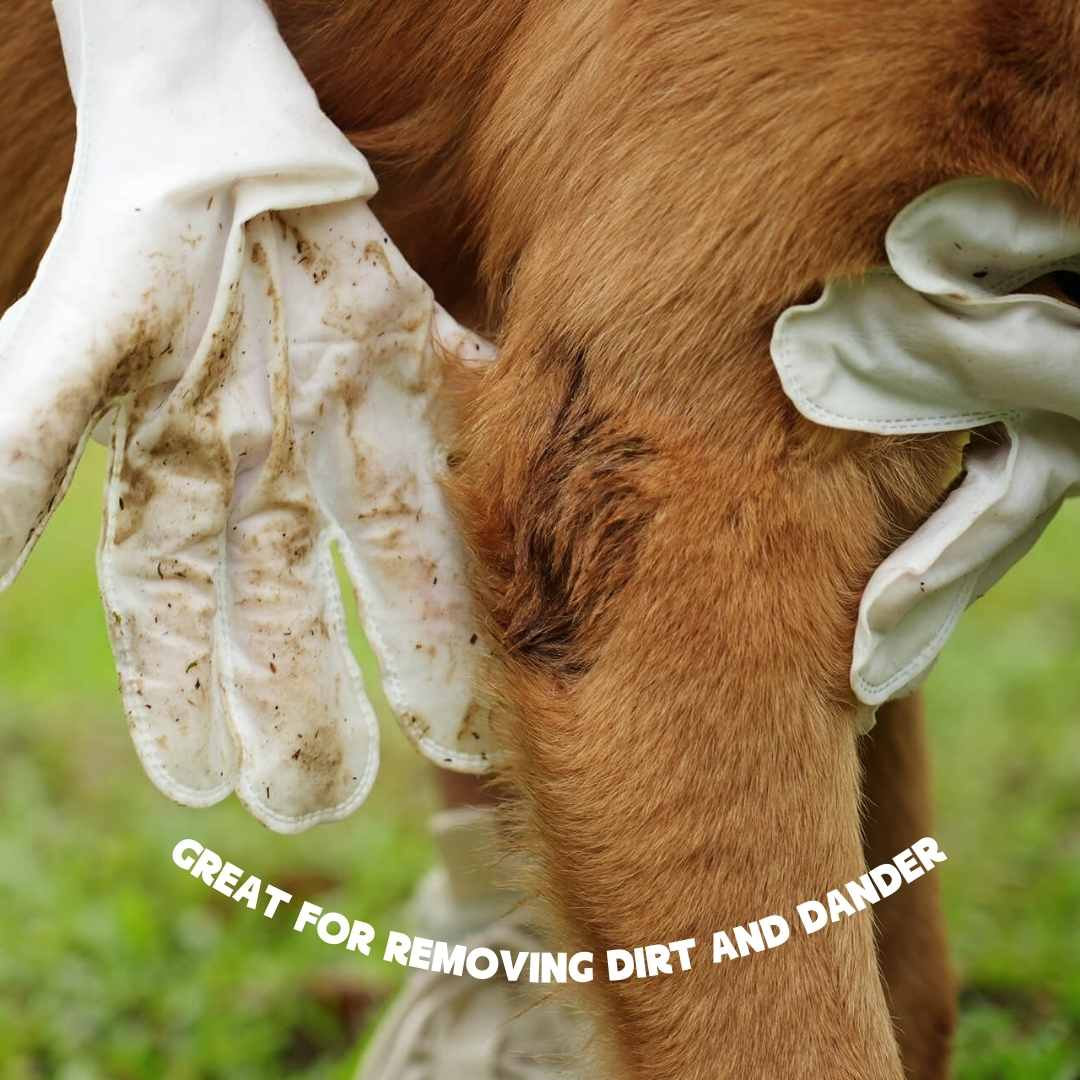 Salviette per guanti per animali domestici – Pulizia rapida senza acqua
