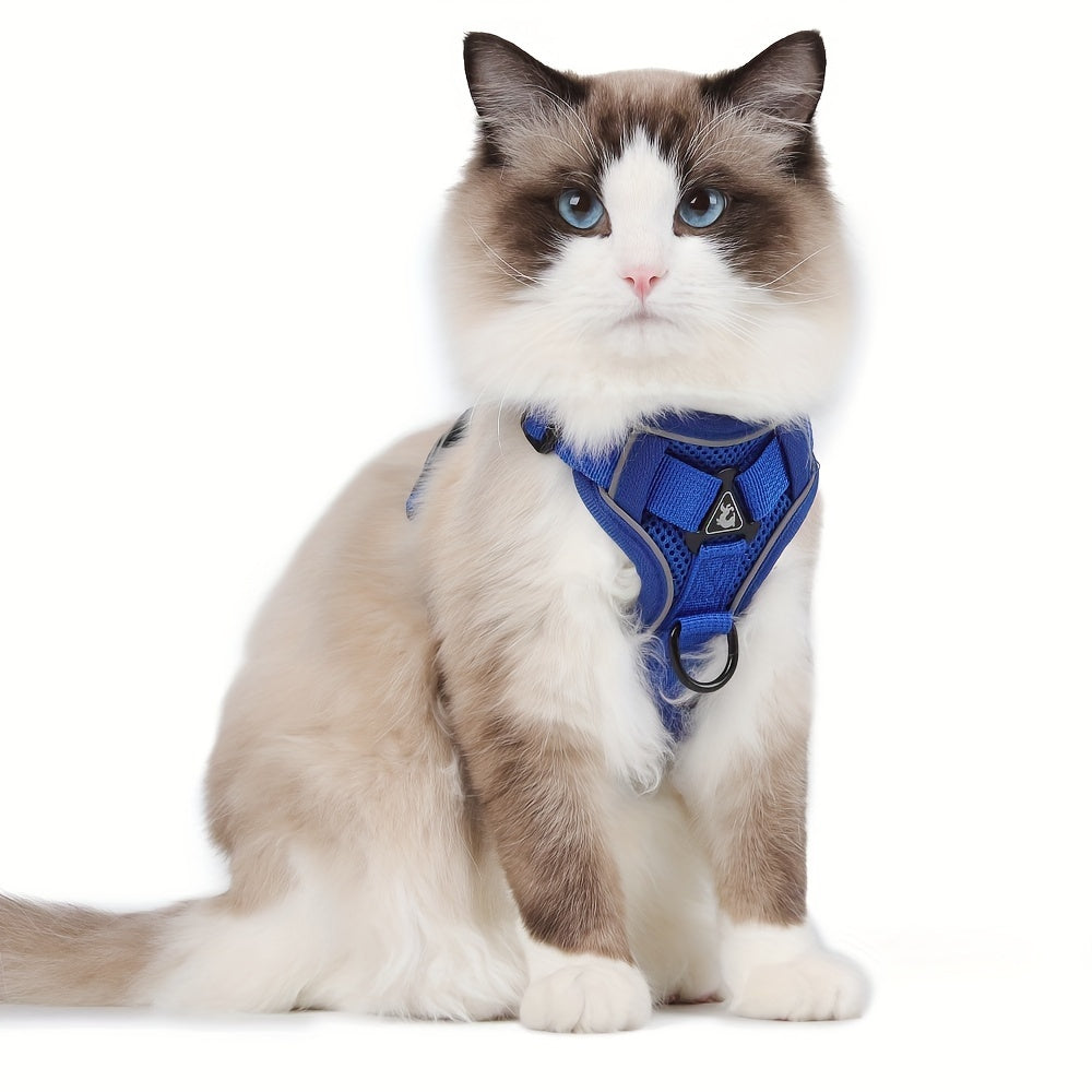 Reflecterend kattentuigje met riem - ideaal voor wandelingen en training
