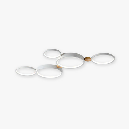 Modern LED Ceiling Light for Any Interior