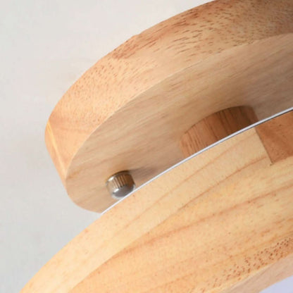 Quinn Modern LED Ceiling Light