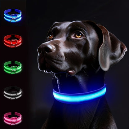 Collare LED per cani con luce – Visibile e sicuro di notte