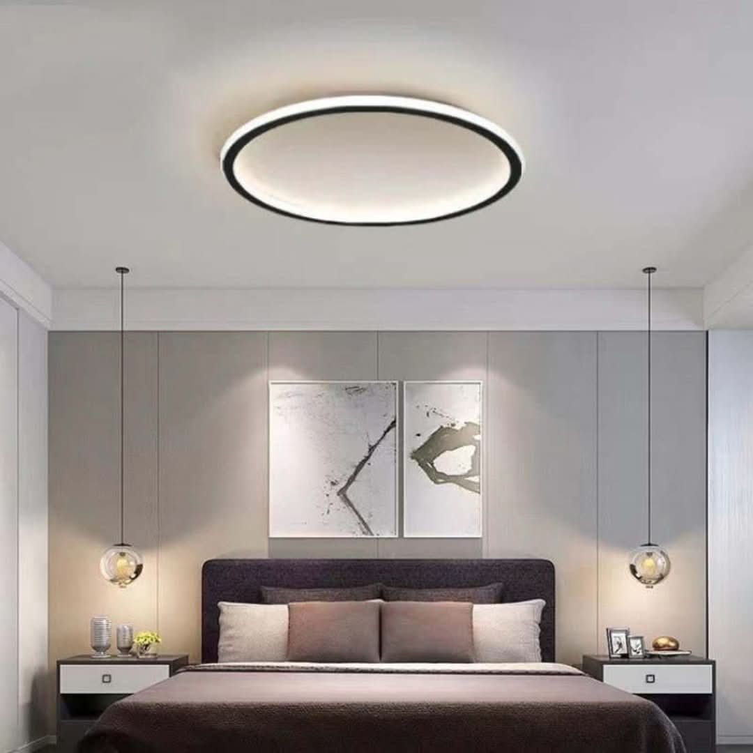 Quinn Modern Round LED Ceiling Light Metal/Acrylic